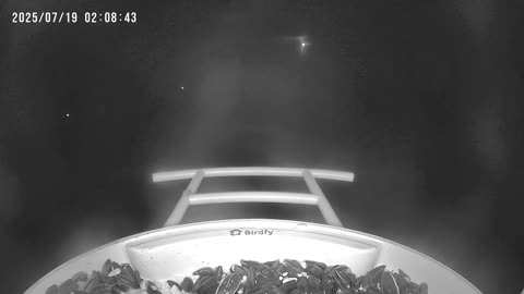 🦉📷 Paranormal Activity Caught on Bird Feeder Camera? | TheHauntingHour
