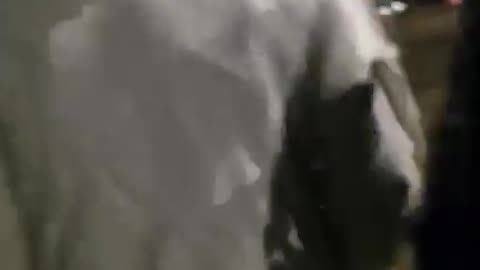 DOPE LIVE - Gavin Bennett