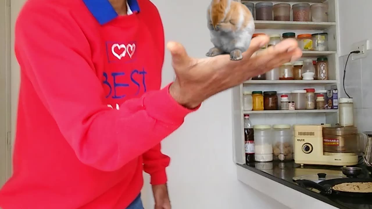 Magic Dekho-47-Balancing Rabit-Tiktok