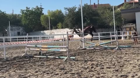 Horse Falls Dramatically Off Obstacle