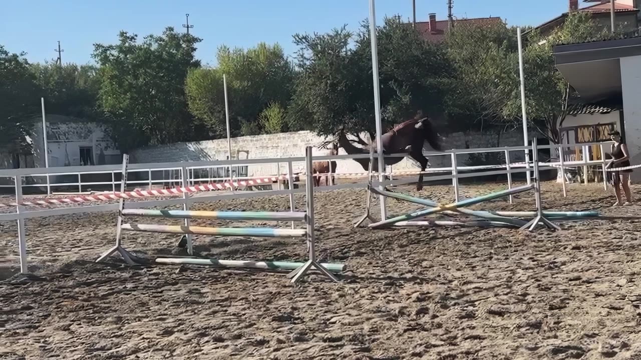 Horse Falls Dramatically Off Obstacle