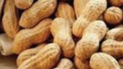 मूंगफली खाने के तीन ज़बरदस्त फायदे #health #shorts #viral #trending #like #fact #reels