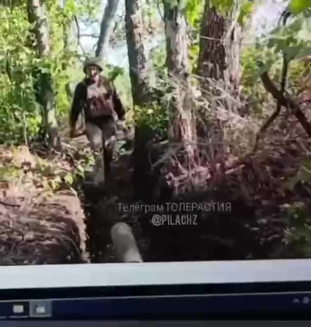 Ukraine war related/combat footage 11/24/25