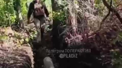 Ukraine war related/combat footage 11/24/25