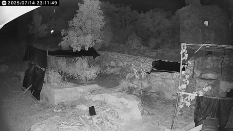 😨👻 You Won't Believe What This White Dot Could Be! | TheHauntingHour