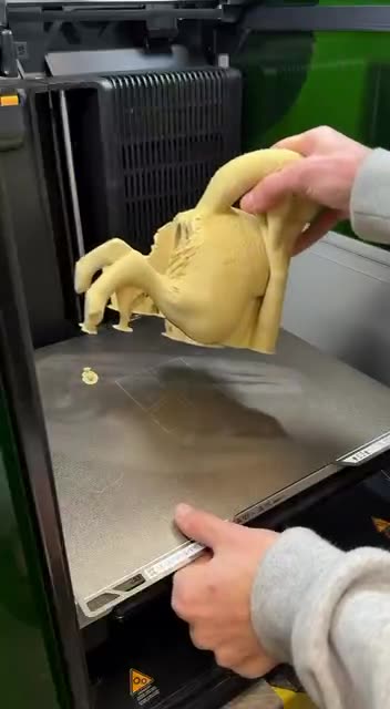 Endless possibilities with 3D Printing 🤣