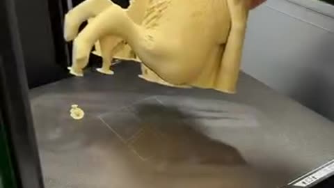 Endless possibilities with 3D Printing 🤣