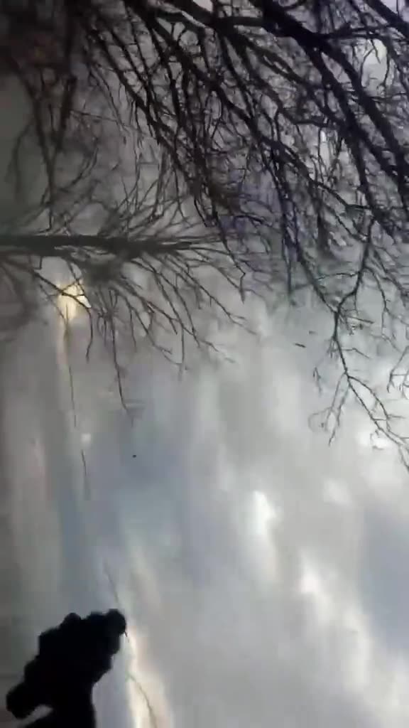 The atmosphere of the SVO