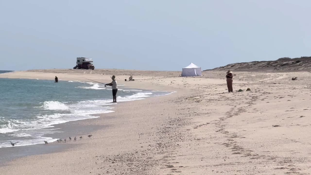 El impacto de la IA en el desarrollo de software y los negocios ES