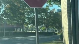 😂 Staaahp! This Baby's Got Moves! | FunFM