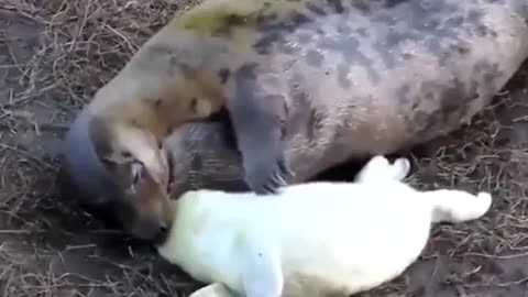 Ma that tickles