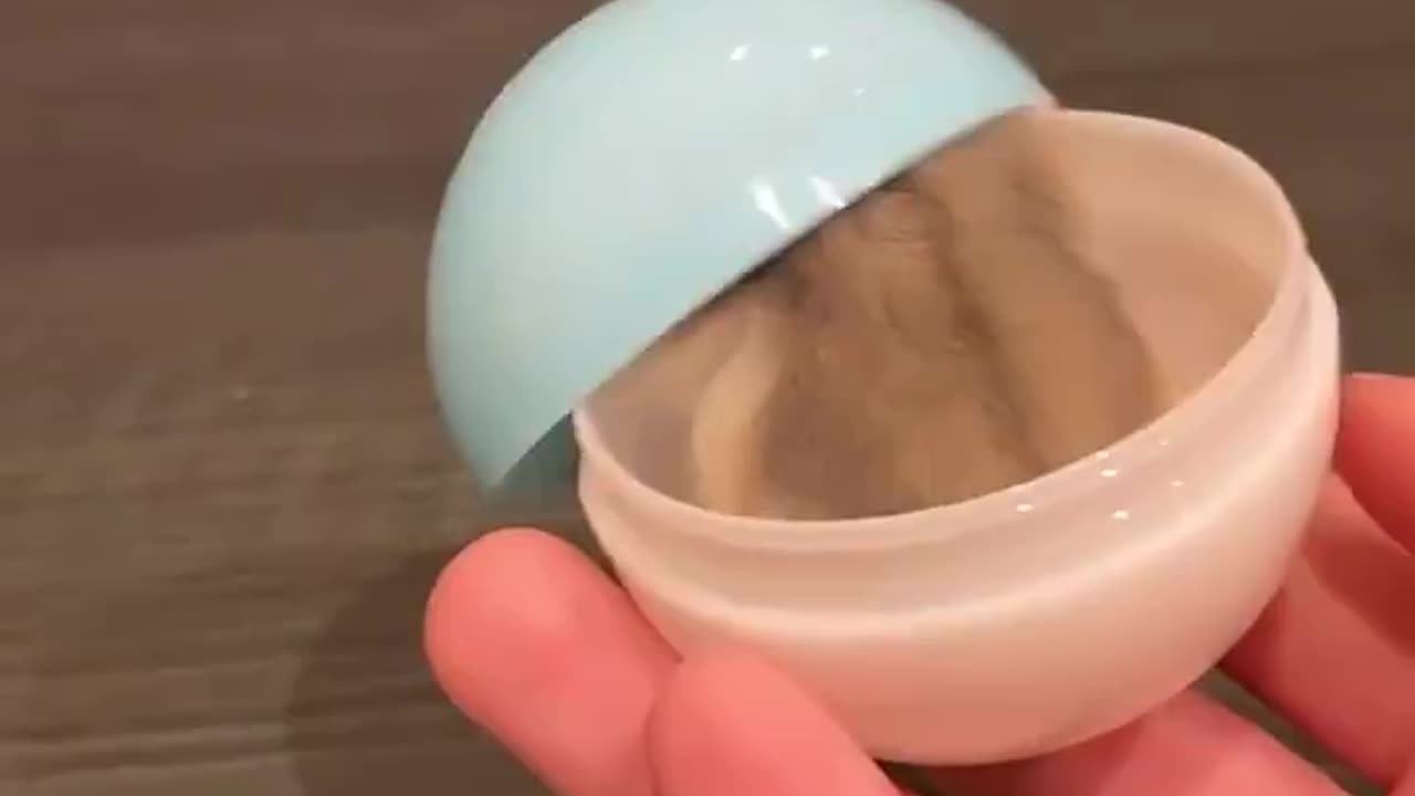 Look at this fluffy ball! 🐹🥰