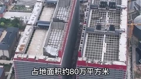 🧠✨ Inside the 26-Storey Pig Farms Worth $550 Billion USD! | FeedMyCuriosity