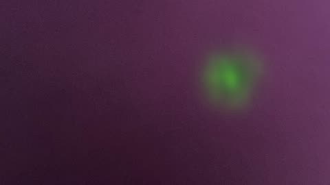 Genesis Chapter Sixteen