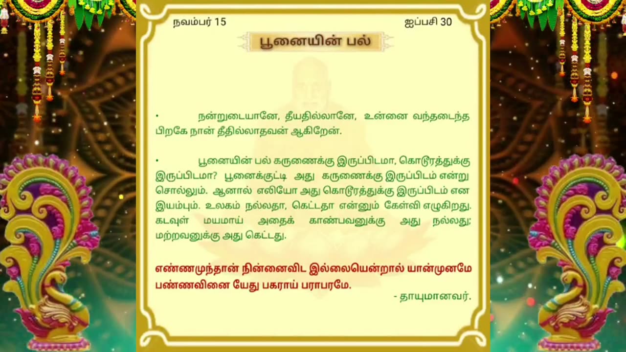 நவம்பர் 15 | பூனையின் பல் | தினசரி தியானம்