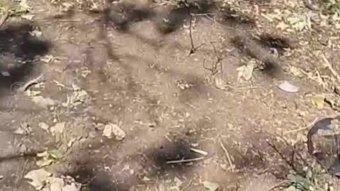 Russian Soldier Horrified by Dozens of Comrades Laying Along a 150meter Stretch of Road