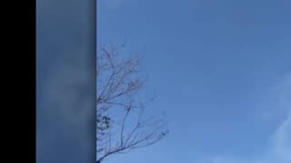 🚀👽 OVNI Sférico no México em 1° de Março de 2023! | TheTruthAbove