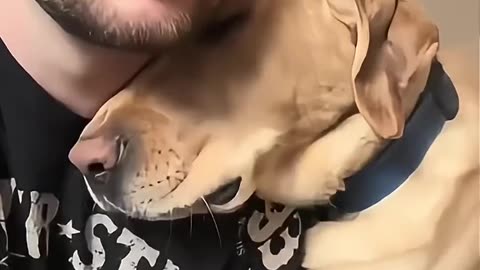 Dogs