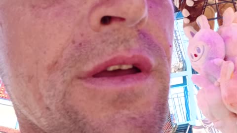 H1