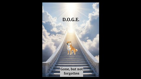D.O.G.E. Disbanded