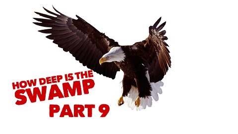 How Deep Is The Swamp? Part 9