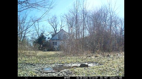 Deer Cam 02-28-2025 Squirrel