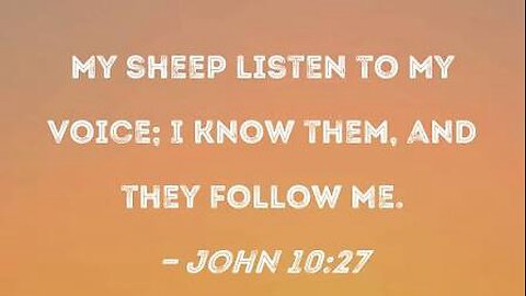 40 Day Fast - Day 11