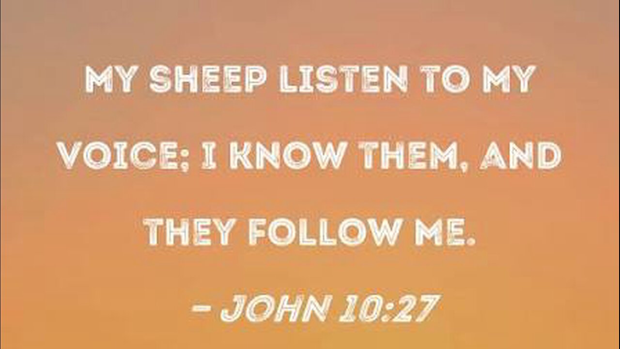 40 Day Fast - Day 11