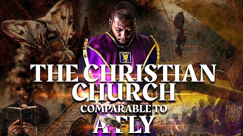 The Christian Church Comparable To A Fly!