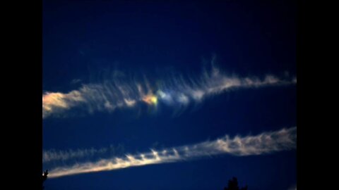 "Courtcase - Chemtrail"- videoart, 2011