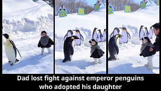 Dad lost fight against emperor penguins who adopted his daughter