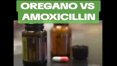 OREGANO VS AMOXICILLIN ❤️