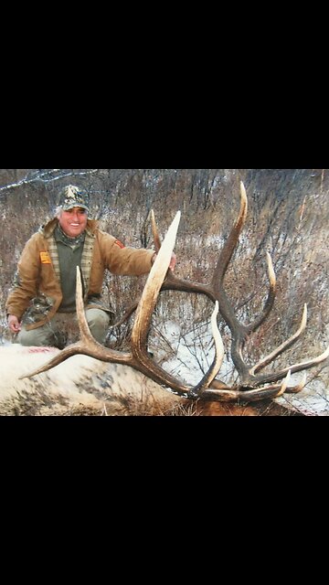 Elk have ivory teeth