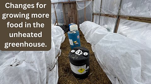 Growing more food in zone 5b/6: Unheated Greenhouse Revamp.