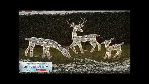 Lighted Christmas Deer Reindeer Family Christmas Decor With LED Lights Light Review