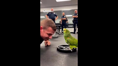 When the parrot joins the gym and starts training the cops 🦜💪🤣 Made with InVideo AI 🇺🇸