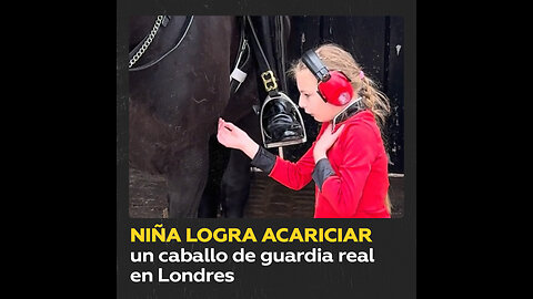 Niña pide permiso y acaricia el caballo de guardia real en Londres
