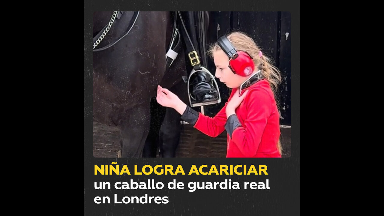 Niña pide permiso y acaricia el caballo de guardia real en Londres
