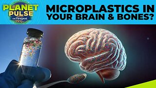 Scientists Find Link Between Microplastics & Dementia In Humans | Planet Pulse | N18G