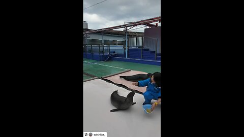 Original content by @saishiba_ Instagram, 1-7-25