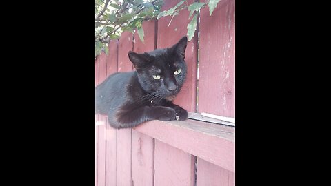 Sunday Wellness Check