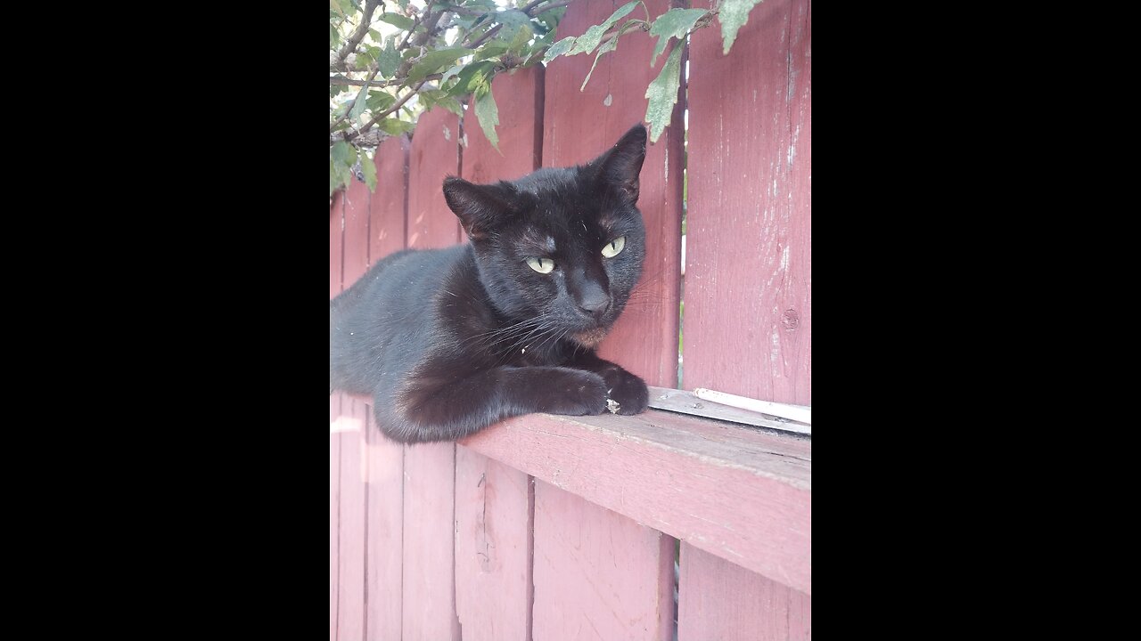 Sunday Wellness Check