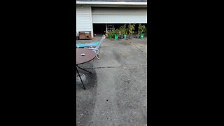 Just A Short Word To The Peoples