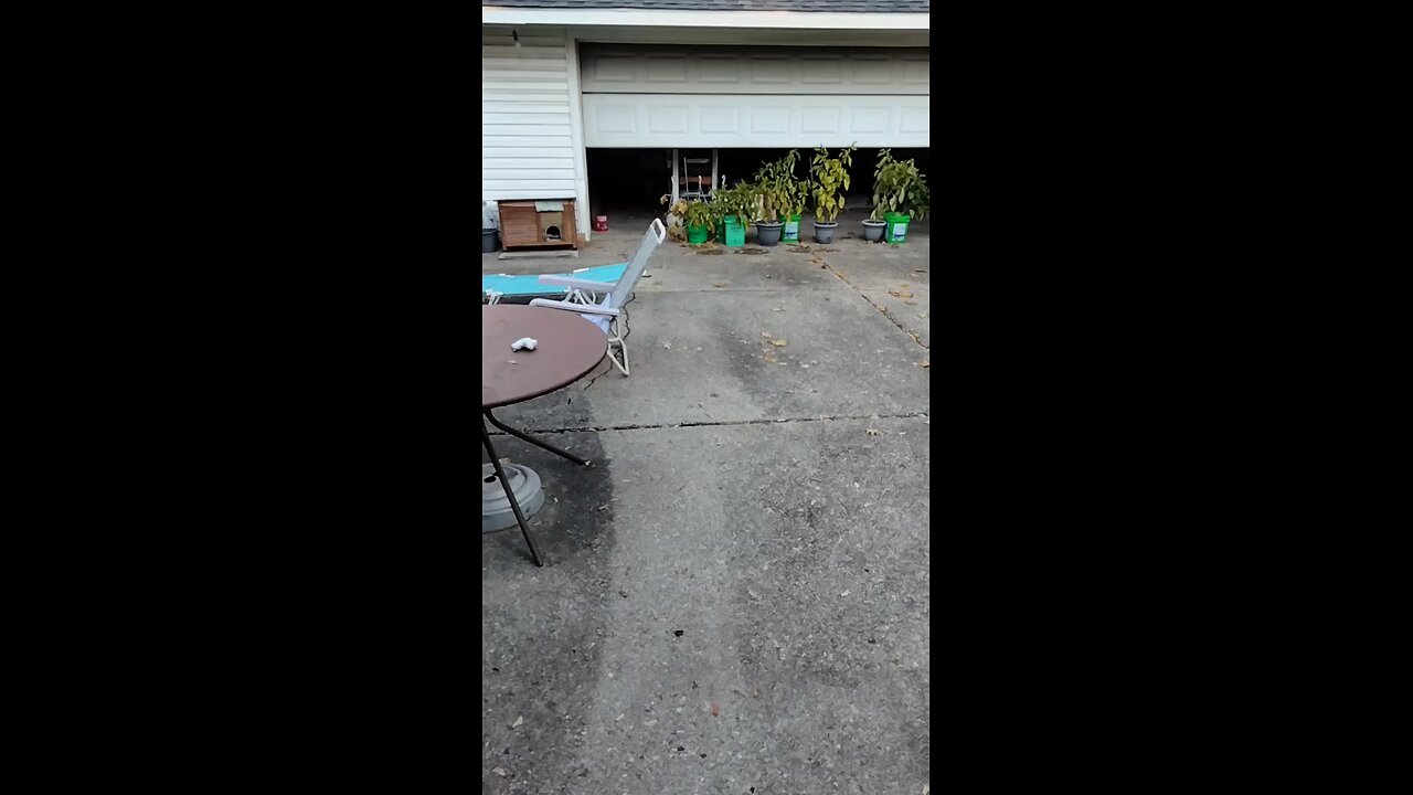 Just A Short Word To The Peoples