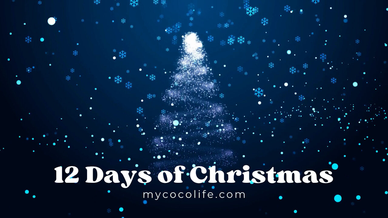 12 Days of Christmas: Day 1