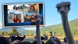 Sheila Gunn Reid and Chris Dacey break down police presence at B.C. ostrich farm