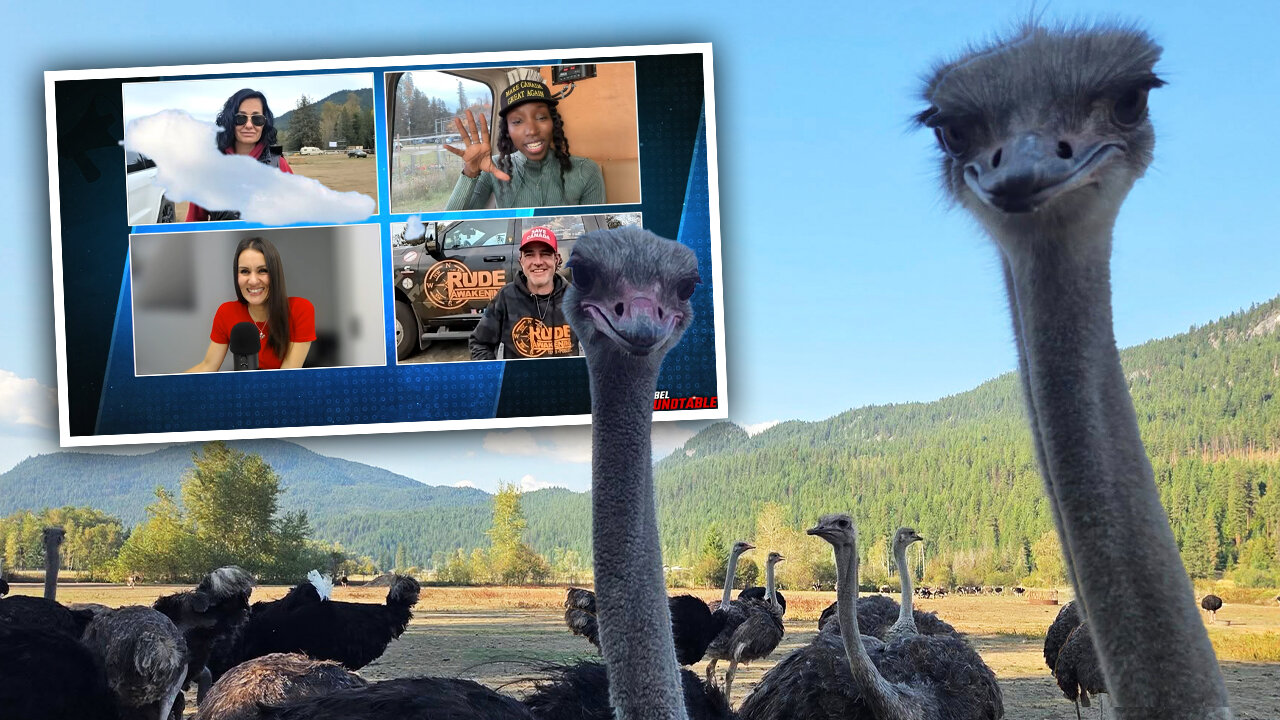 Sheila Gunn Reid and Chris Dacey break down police presence at B.C. ostrich farm