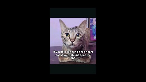 “When Life Gives You Funny Mood | Ultimate Meme Shorts” #FunnyMemes #MemeShorts #ViralVideo