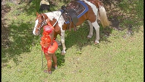 A Spectacular Specimen