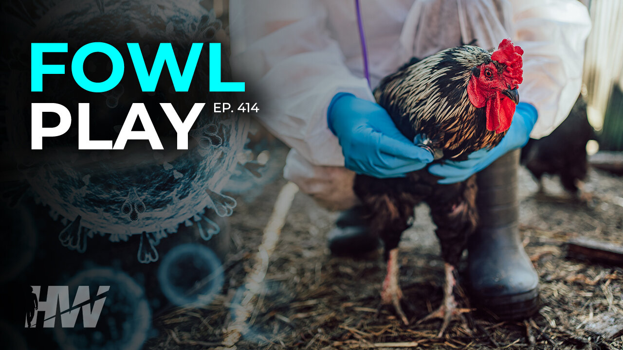 Episode 414: FOWL PLAY